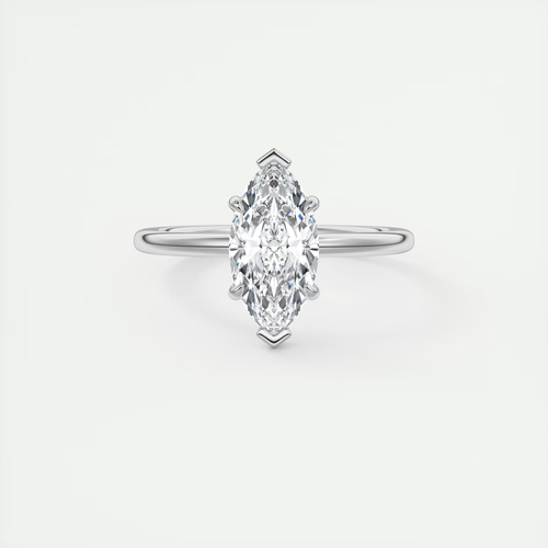 Collection Image